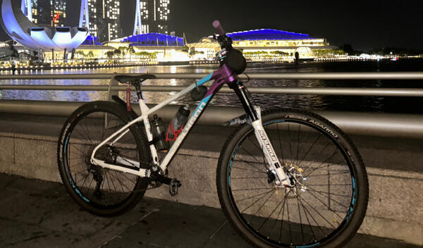 Polygon Xtrada 7 | Togoparts Rides