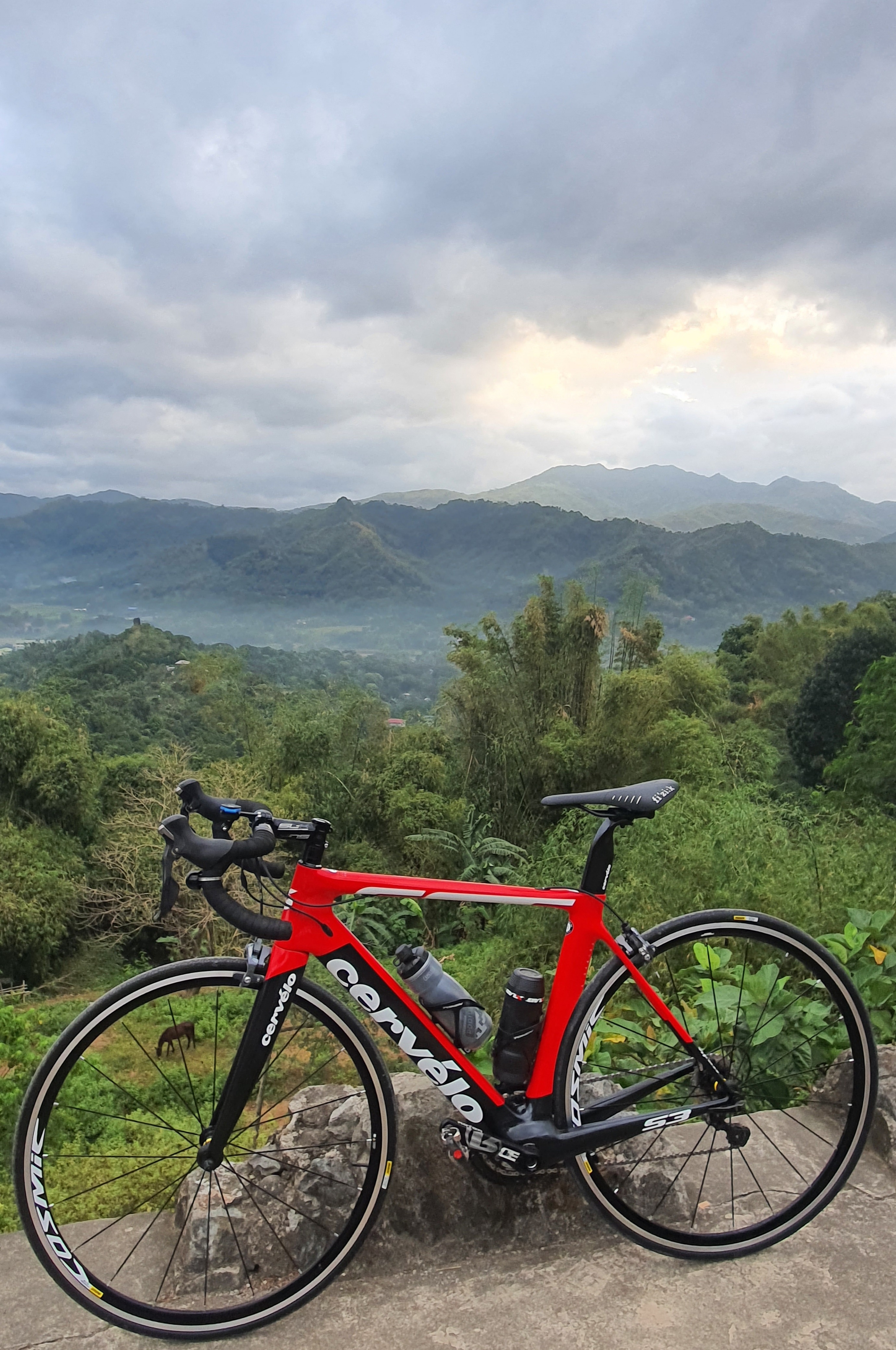Cece | Togoparts Rides