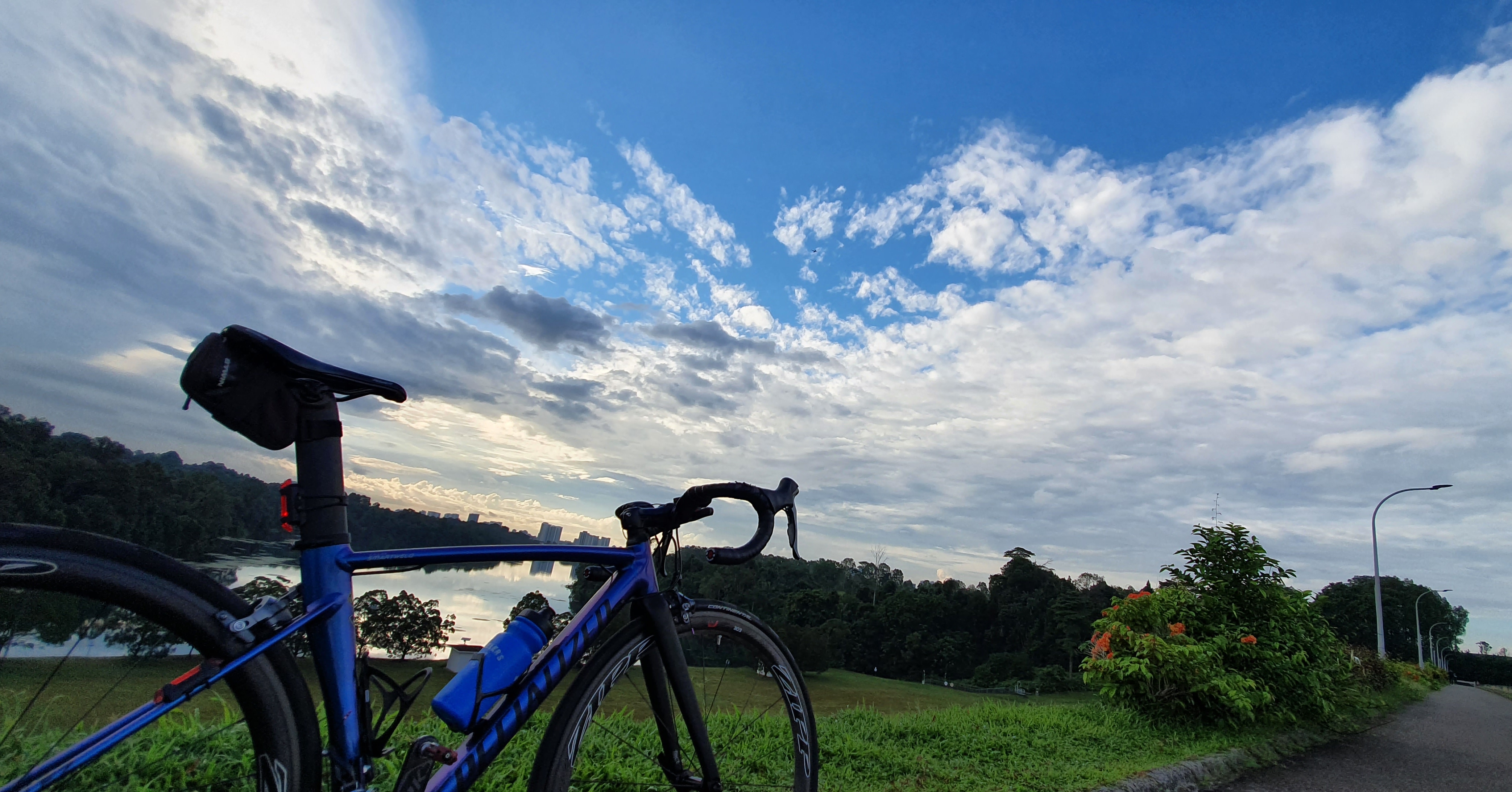 Blue | Togoparts Rides