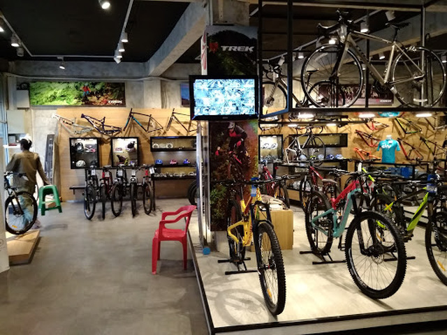 Alan bike shop Clearance