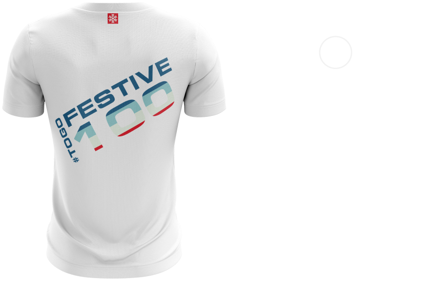 TOGOFESTIVE100 Tee | Back