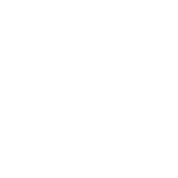 TOGOWBD Medal