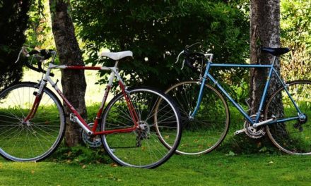 Four Tips To Begin Your Two Wheeled Love Affair