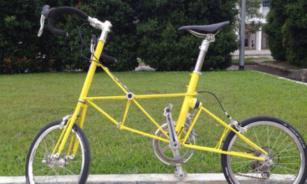 Review: Moulton AM20-2