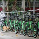 Government Working with Bike-Sharing Firms to Curb Rental Bicycle Growth