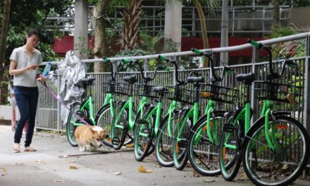 Government Working with Bike-Sharing Firms to Curb Rental Bicycle Growth