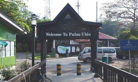 My personal rants@2005 TGP Mass Ride #1@Pulau Ubin