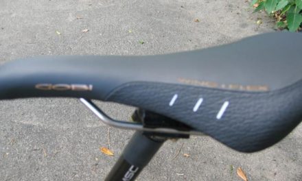 Fizik Gobi Flex Wing Review