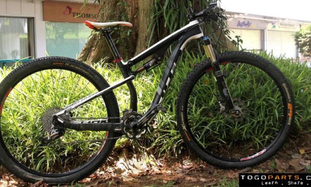 First Look: Link Profligate 29er