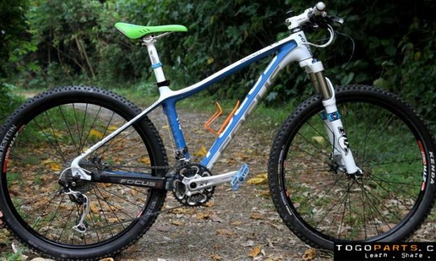 Frame Review: Focus Raven Carbon Hardtail