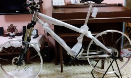5 Reasons NOT To Buy A New Bike Online In Singapore