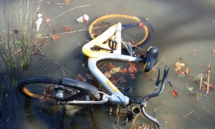 Singapore-Based oBike Clutters Australian Cities