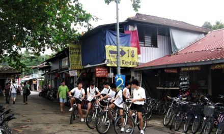 5 Scenic Cycling Trails You Can Catch a Breather At