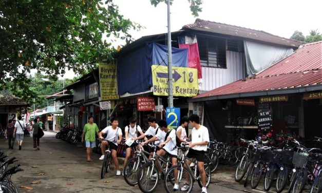 5 Scenic Cycling Trails You Can Catch a Breather At