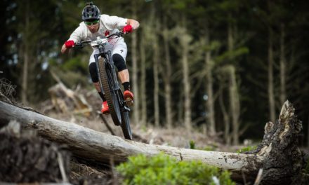 Öhlins RXF 36 Coil: Swede new shocks