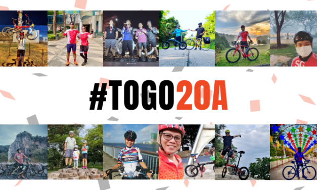 6 Outstanding Achievements from #TOGO20A