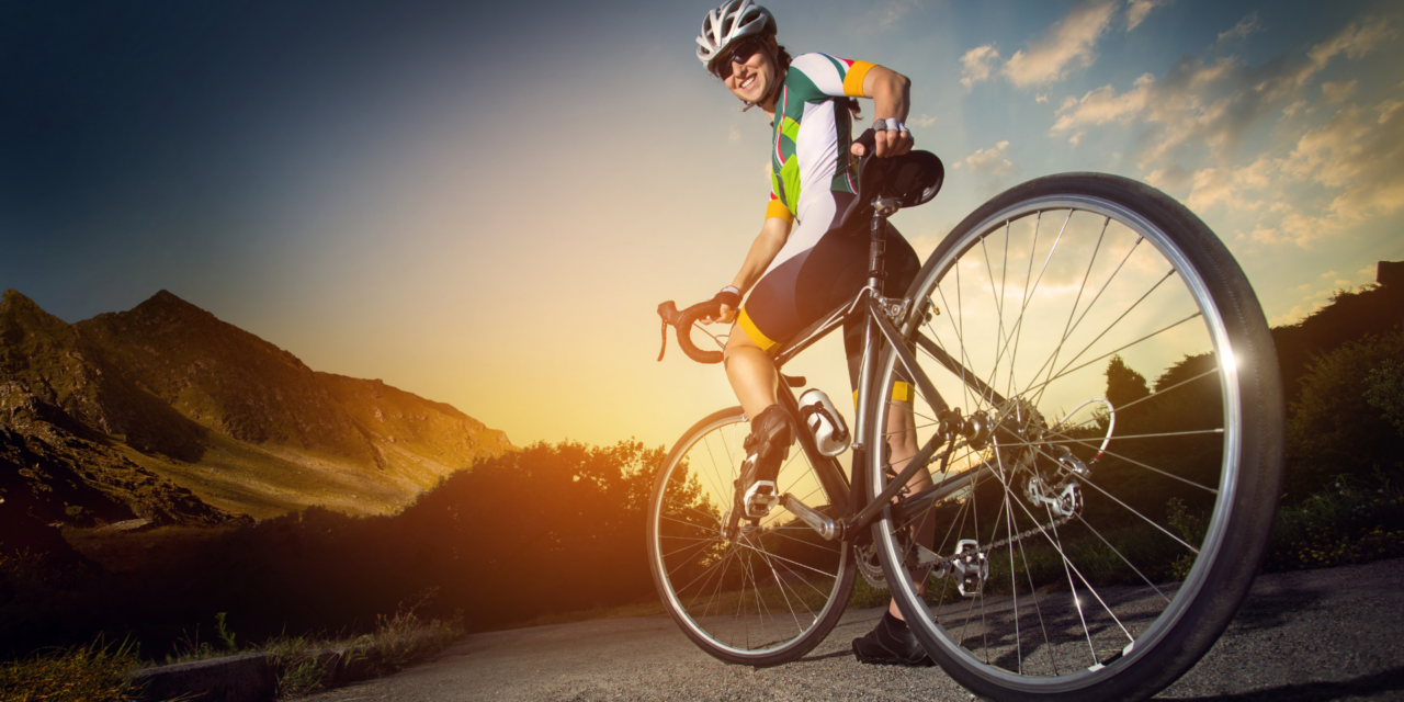 Your Perfect Saddle