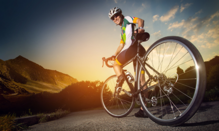 Your Perfect Saddle