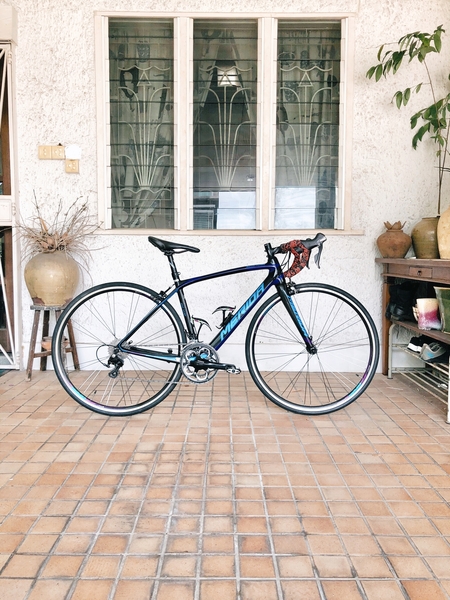 Merida Scultura 4000 Juliet 2016 Road Bikes Singapore Marketplace TOGOPARTS